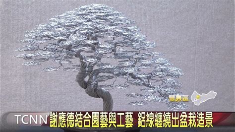 盆栽鋁線纏繞